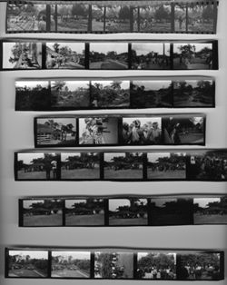 Contact Sheet #5 of 5