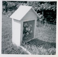 Flower Box circa 1928