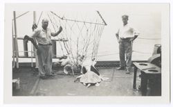 Item 0554. Group of men on deck of ship with three large sea turtles. Man at right in Item 553 above and another unidentified man with turtle in net.