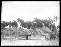 Thatched huts on way to Batabano
