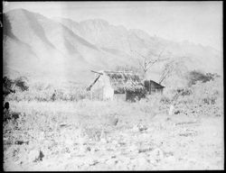 Thatched hut, Sierra Madre Mts.