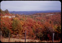 Nearby colors and distant vistas along US 62 in Arkansas Ozarks near Eureka Springs