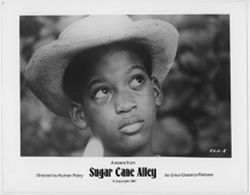 Sugar Cane Alley film still