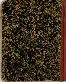 Diary, Jan 1, 1910-Jul 23, 1910.