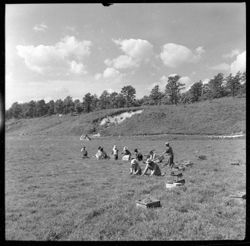 Cranberry pickers