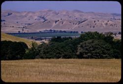 Alameda county fields and hills from Calif. 21 n.e. of Calif. 9