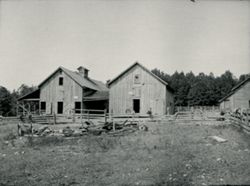 Two adjacent barns