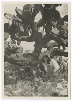 Item 0222. Julio Saldivar and young woman crouching at the foot of a large cactus, he is firing a rifle, she a pistol.