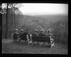 Group on bench in Lilly woods