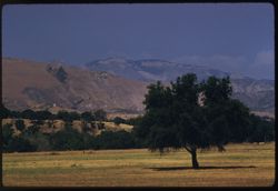 View NE across Santa Ynez Valley from San Marcos Pass road