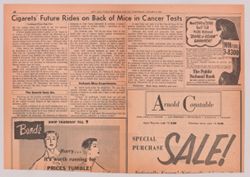 6 January 1954