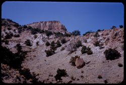View up a New Mexico canyon near Bandelier Nat'l Mon.