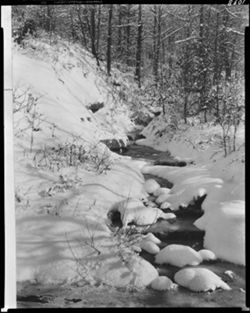 Copy of winter scene, Jackson Branch, "January" (orig. neg.)