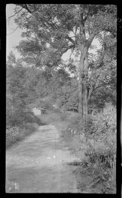 Hoh001.000.0261.tif