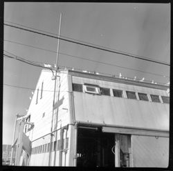 Harbor of Provincetown showing gulls on roof