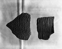 Stamped sherds