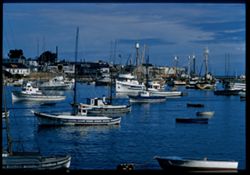 Fishing boats in Monterey Harbor Cushman