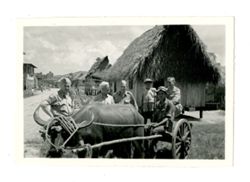 Roy Howard and other men with water buffalo