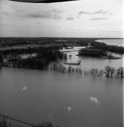 VAD5943-003124.tif