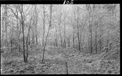 Hoh003.000.0201.5.tif