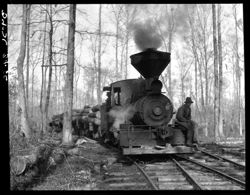 Cabbagehead locomotive in woods