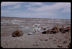 Panorama - with broken petrified logs Petrified Forest Nat'l Monument