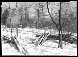 Rail fence entrance from Snodgrass's to Wells cabin, with sunlight