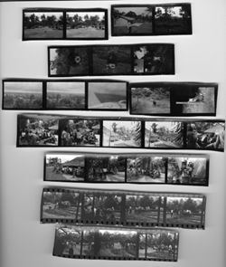 Contact Sheet #3 of 5