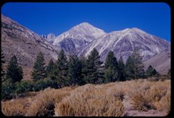 High Sierra Nevada - in left background is Middle Palisade above Glacier Lodge west of Lone Pine. Inyo co. - California.