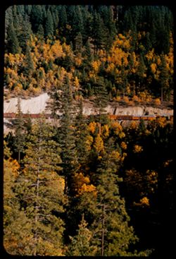 Across the deep ravine of the Feather river at KEDDIE, California, a Western Pacific RR town - Plumas county.