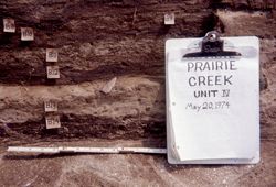 Prairie Creek Excavation
