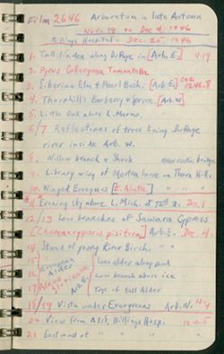 Notebook, September 3, 1938-December 25, 1946