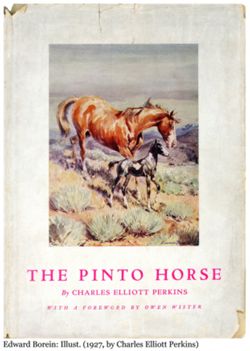 The Pinto horse.