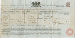 Birth Register, 1842