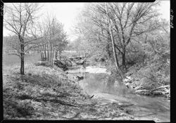 Creek near Harold Moore's