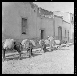 Burros at McFarland's, front door