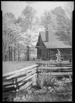 Miss Douglass cabin, Freeman Ridge