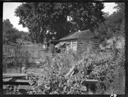 Log school at Cooper