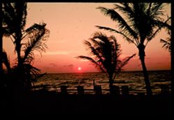 L-7= Sunrise over the Gulf Stream Miami Beach