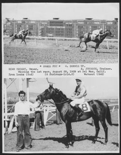 Split photo: (top) Horse race photo finish. (bottom) photo of winning jockey and horse.