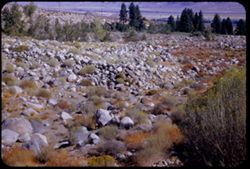 Tumbled rocks in dry creek bed along road from Glacier Lodge to Big Pine. Inyo co. - California.