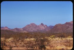 Roskruge Mtns. seen from Arizona Hwy, the Tucson -Ajo road