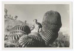 Item 0456. Various similar shots of Eisenstein leaning against or seated on a tall, round cactus in clump of shorter, barrel-shaped cacti.
