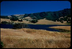 Marin county landscape. California.