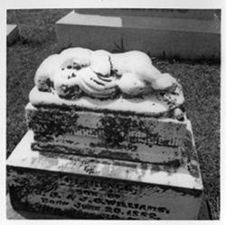 VAE0886-001292.tif
