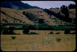 Scene near Yoncalla, Douglas county, Oregon along US 99.