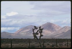 Toward Tehachapi Mtns. In morning from Mojave desert south of Mojave (Hwy 14)