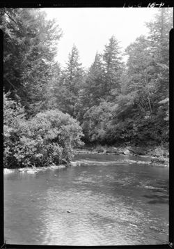 Stream (Linville River) marmon place, Pineola