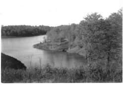 Griffey Lake, Bloomington