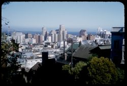 San Fransisco business district from top of Russian Hill